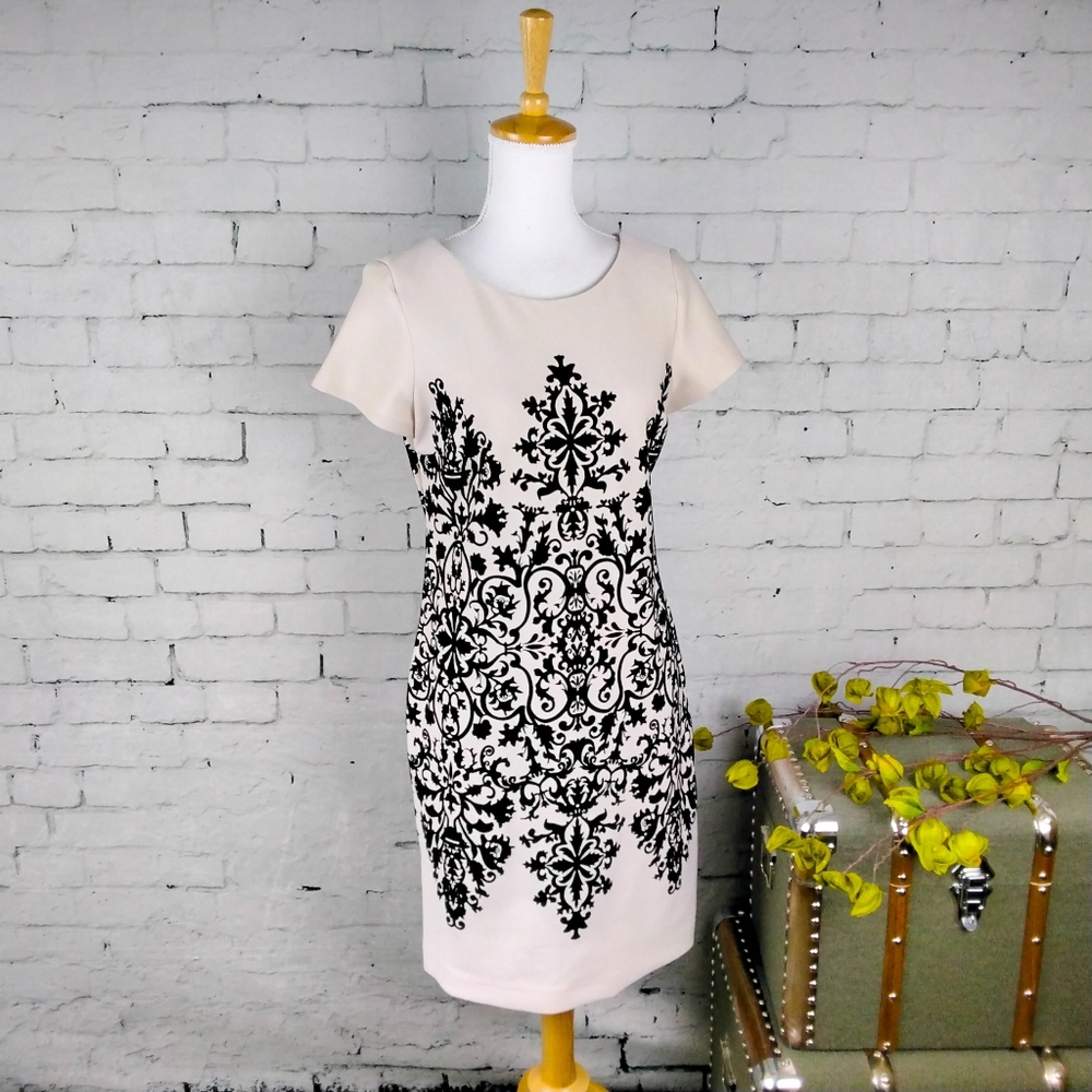 Sandra Darren Flocked Print Scuba Shift Dress 6